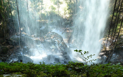 Cha Oug Waterfalls - Cambodia tour